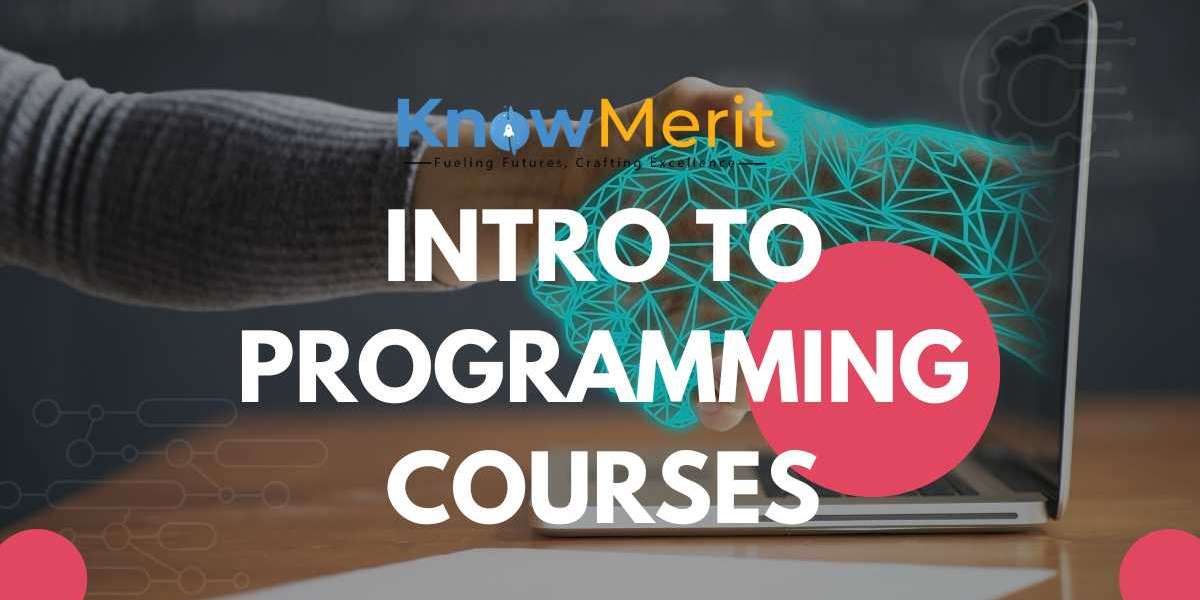 Embark on Your Programming Journey with KnowMerit Introductory Courses