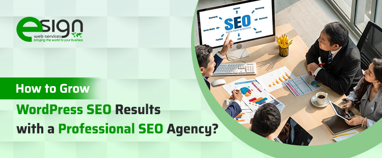 Grow Your WordPress SEO Results with Professional SEO Agency