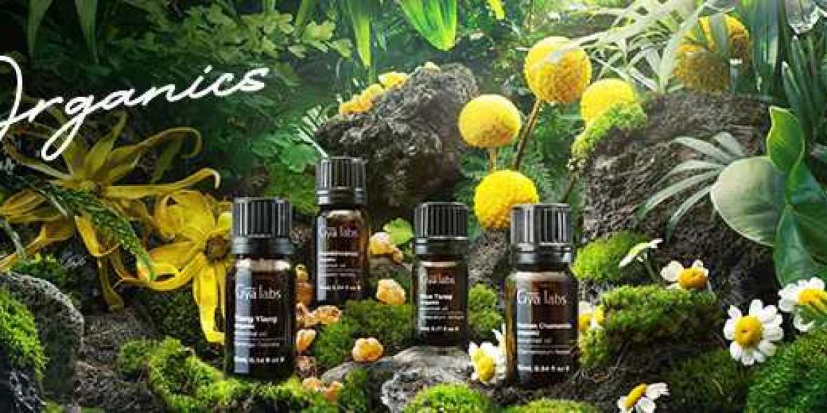 Unlock the Secrets of Wellness with Pure Organic Essential Oils