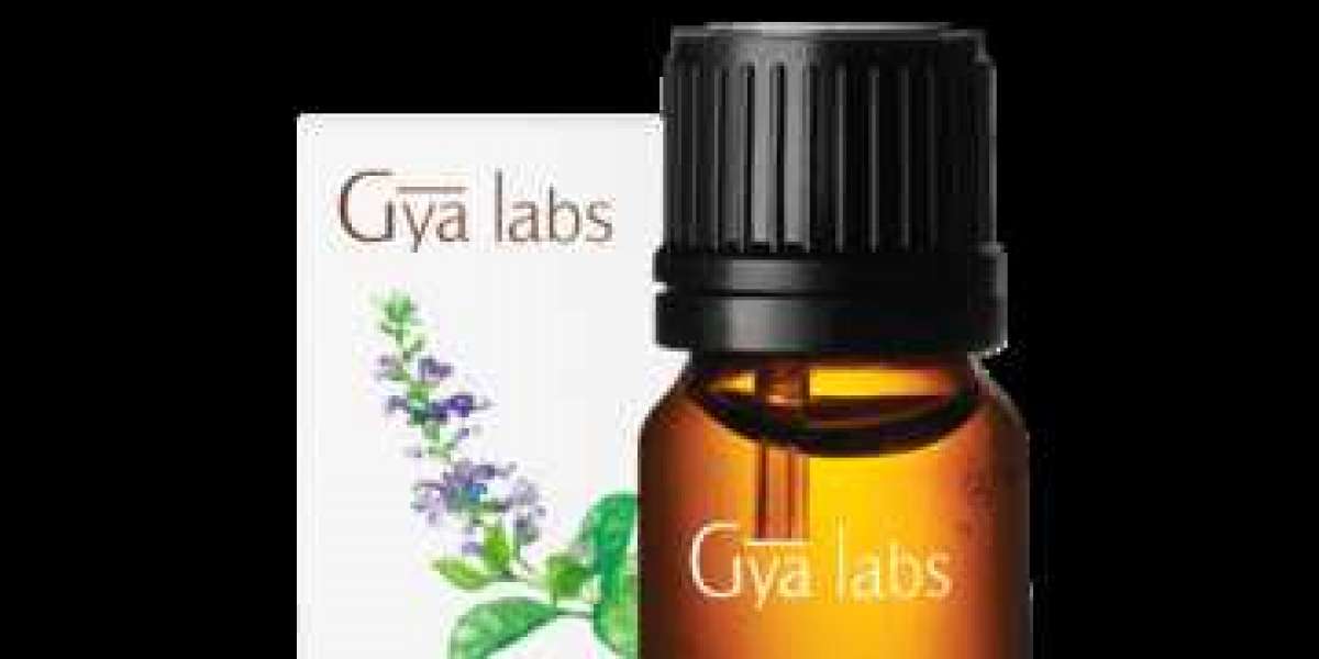Where Can I Buy Clary Sage Oil? Discover GyaLabs Clary Sage Oil