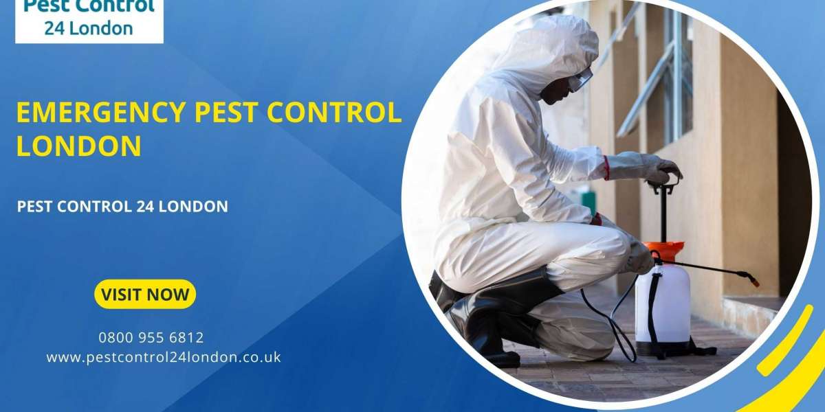 Immediate solutions for pest emergencies with Emergency Pest Control London