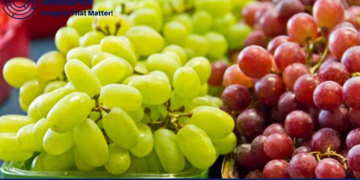 Crunching the Numbers: Grape Production Cost Analysis Demystified