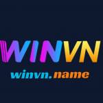 Winvn Profile Picture