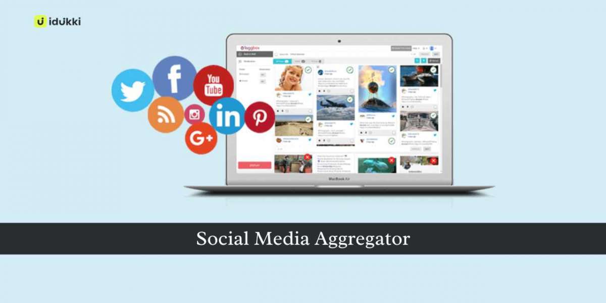 Social Media Aggregator – The Ultimate Guide to Leveraging User-Generated Content