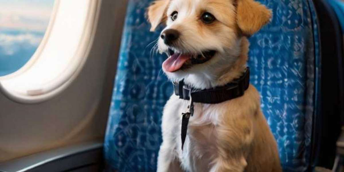 Do any airlines allow emotional support dogs anymore?