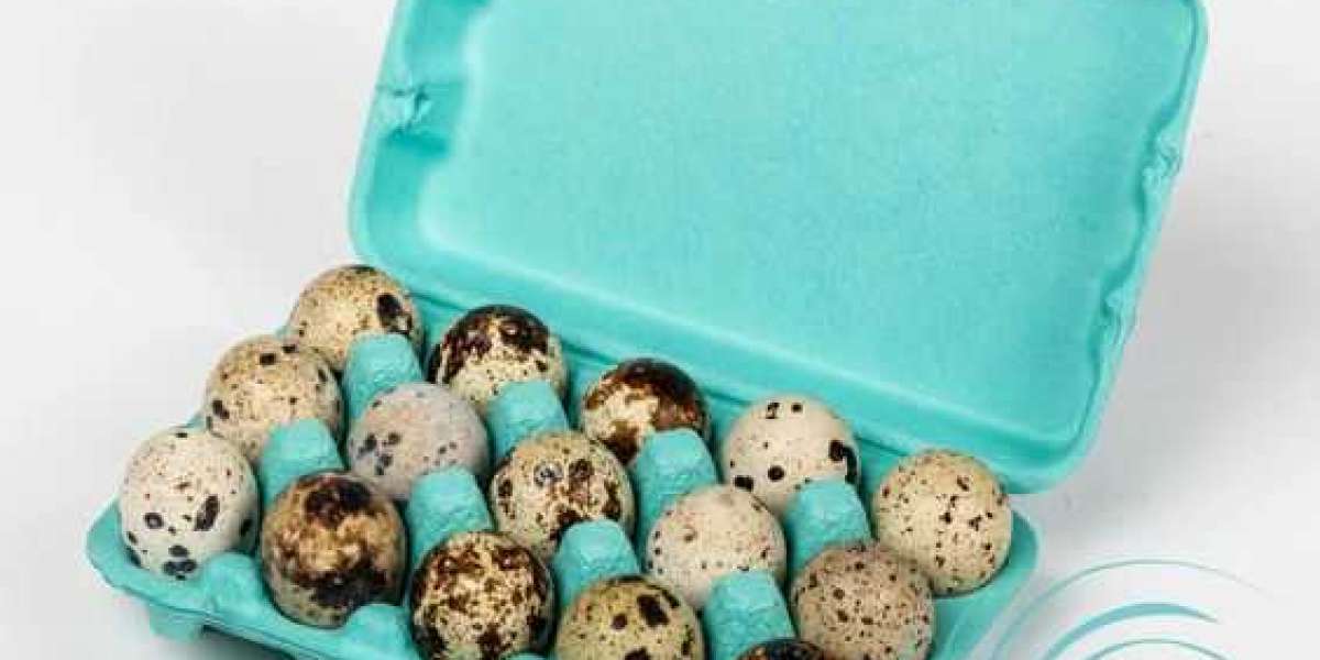 Farm to Table: Keeping Freshness, Quality, and Safety with Egg Cartons