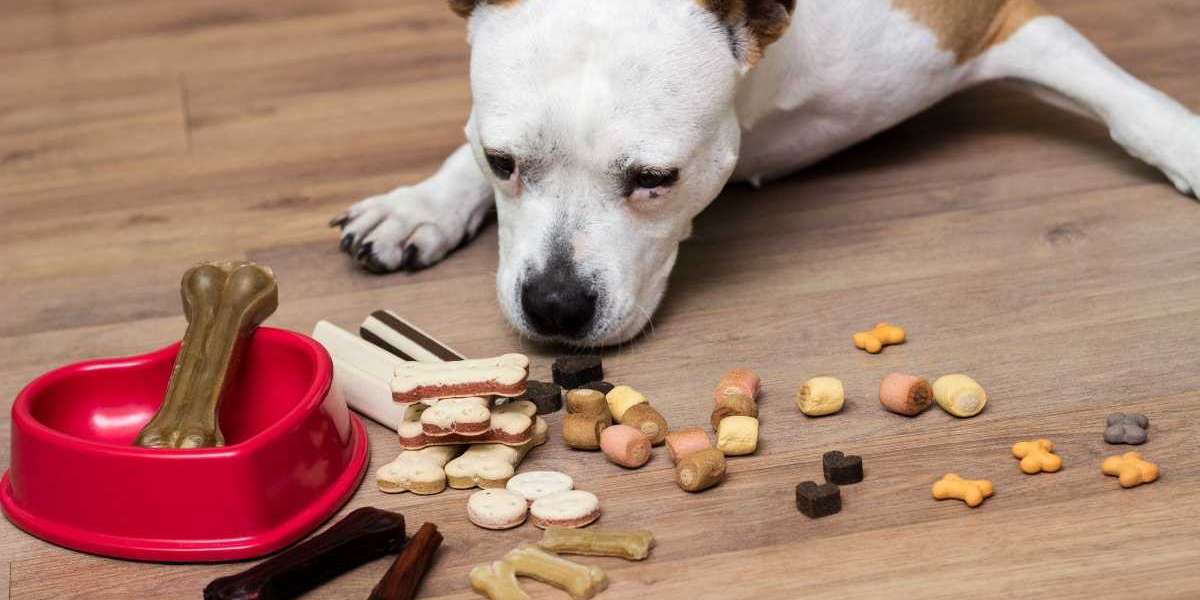 Top 10 Best Dog CBD Treats for Anxiety