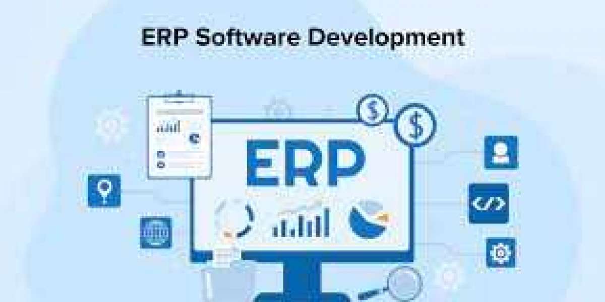 Revolutionizing Business Operations: The Impact of ERP Software Development on Small and Medium Enterprises