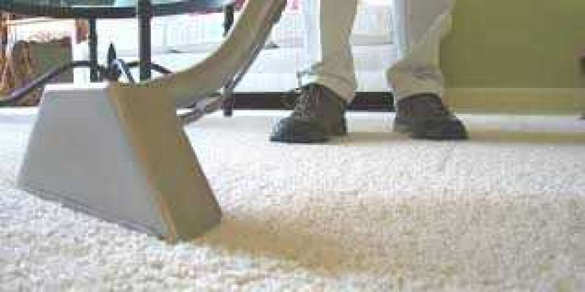 The Invisible Shield: Professional Carpet Cleaning's Defensive Influence