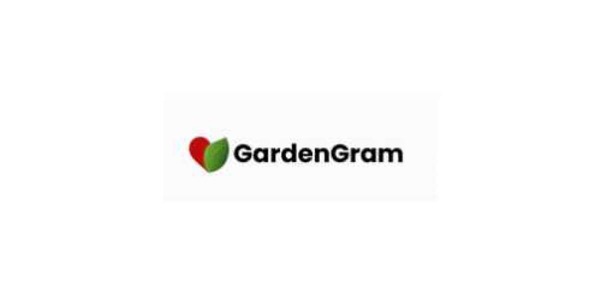 Anthurium Plant Online -  GardenGram