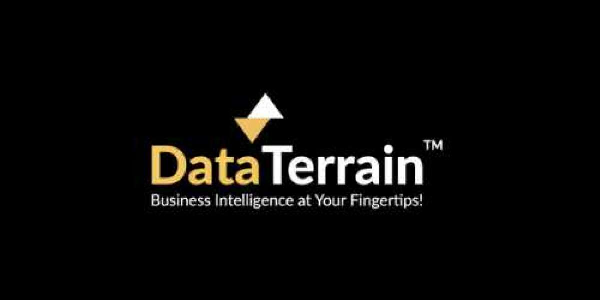 Business Intelligence Reports Transition -  Data Terrain