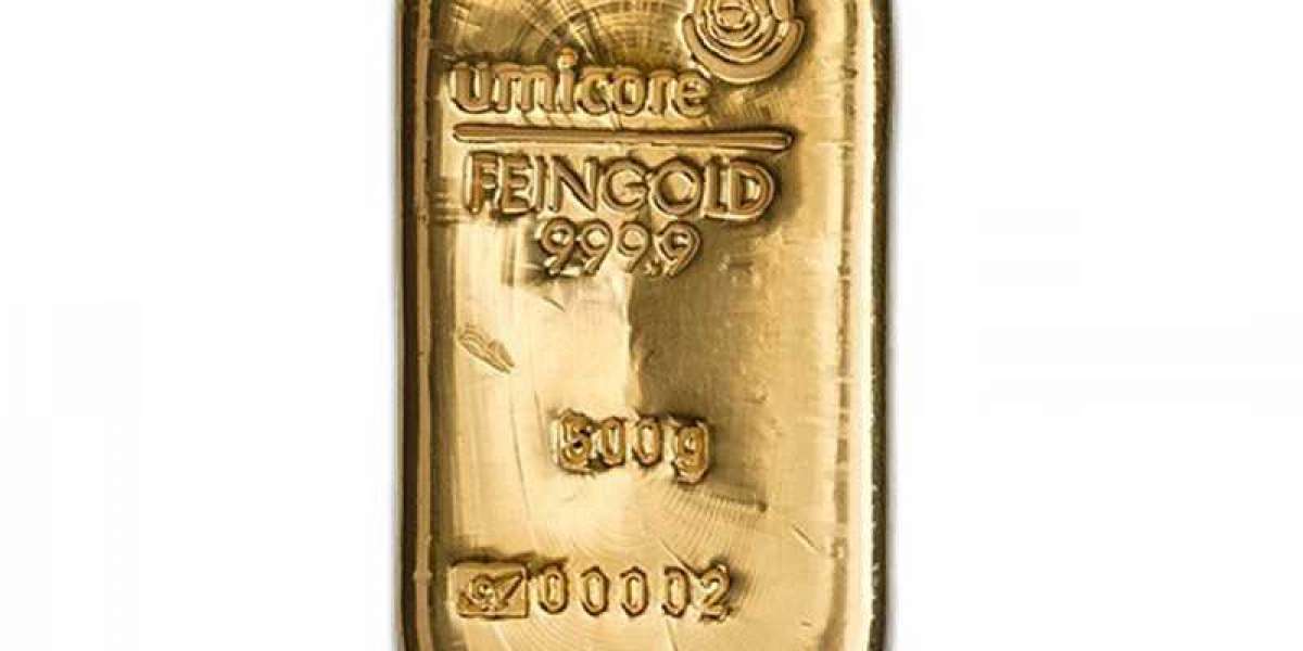 The Magnitude of Wealth: Exploring the 500g Gold Bar
