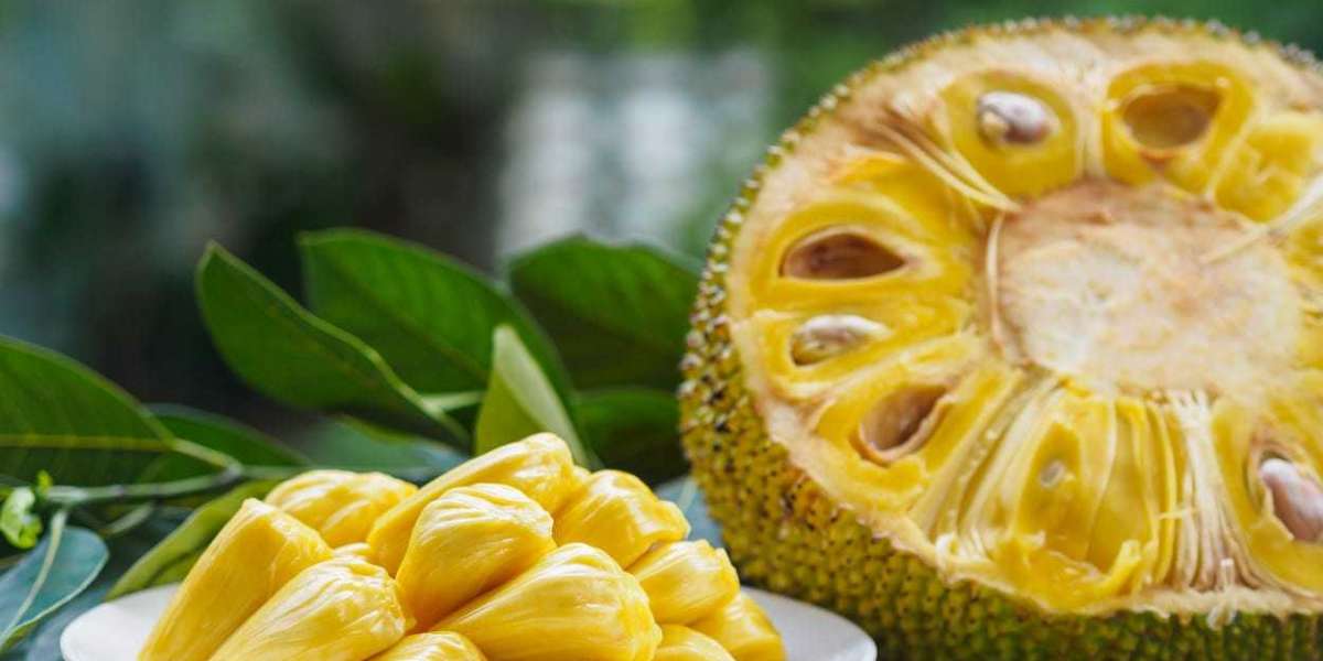 Is Jackfruit Good for Muscle?
