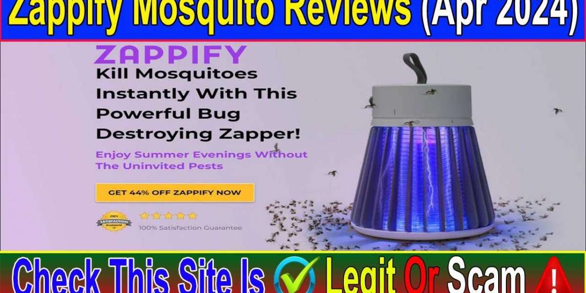 Zappify Reviews(My Honest Opinion) Don't Buy Until You Read This
