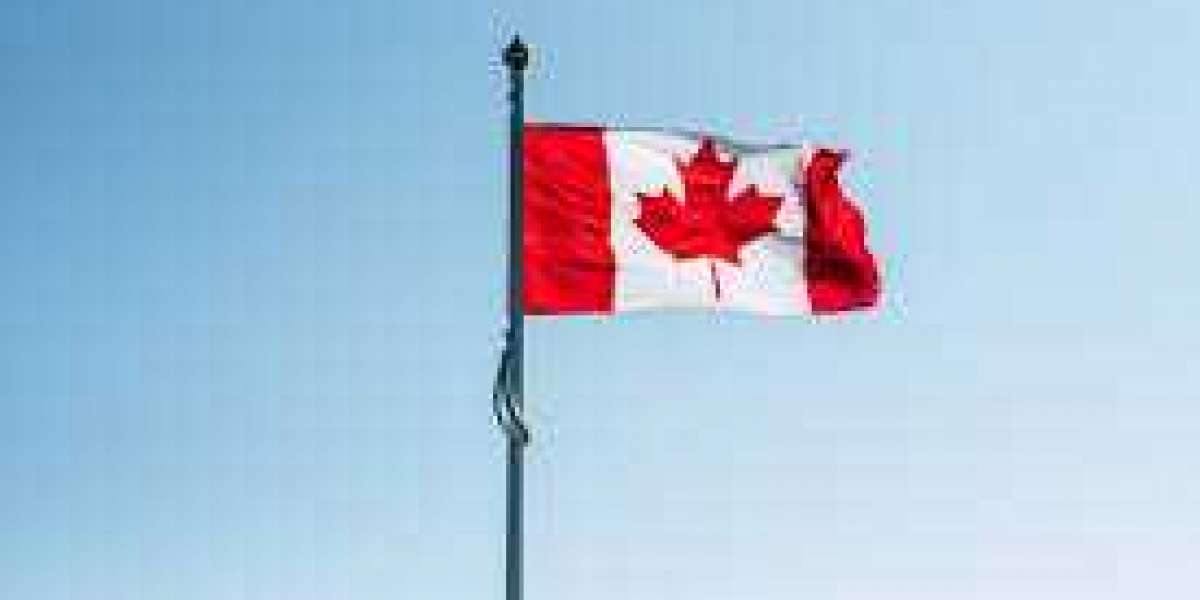 Best Canadian Immigration Consultants In Dubai