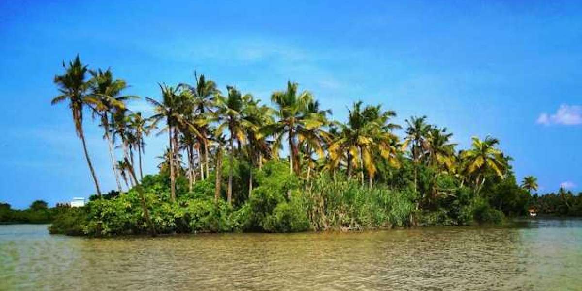 Kumarakom: Kerala's Backwater Paradise Awaits in Your Hyderabad Tour Package