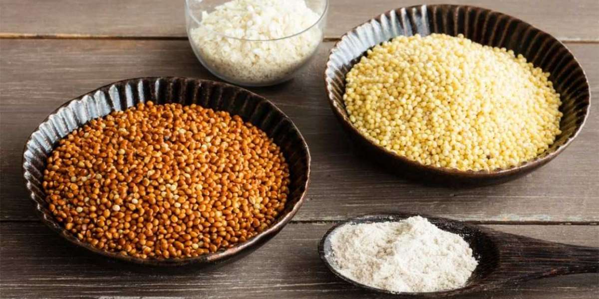 Millet Processing Plant Project Report 2024, Business Plan, Cost and Revenue