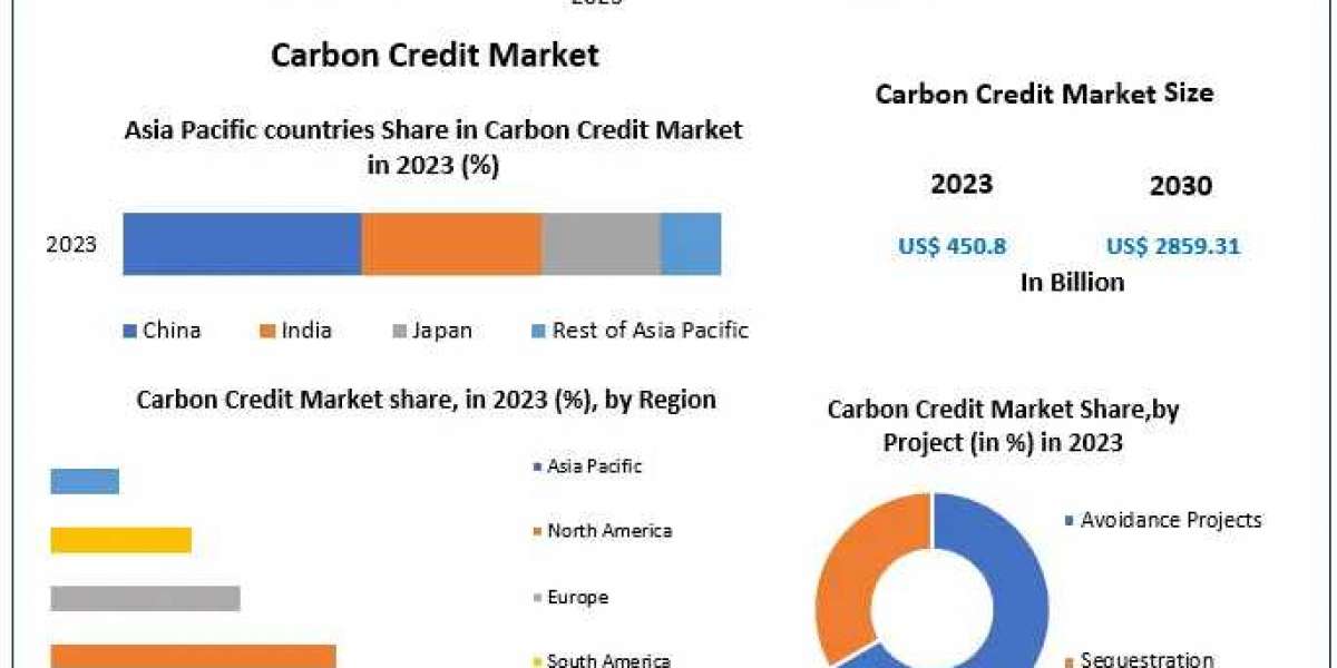 Anticipated Trends in the Carbon Credit Market 2024-2030: Market Dynamics and Challenges