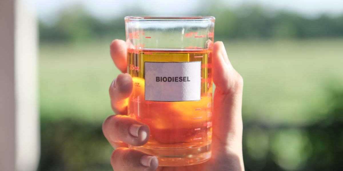 Detailed Report on Biodiesel Manufacturing Plant Setup Cost, Layout and Raw Material Requirements