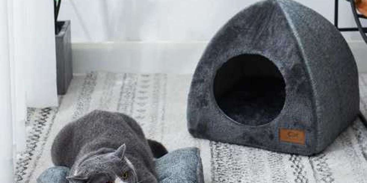 Multi-Pet Household? Why Each Pet Needs Their Own Heated Pet Bed