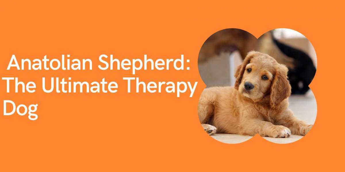Anatolian Shepherd: The Ultimate Therapy Dog