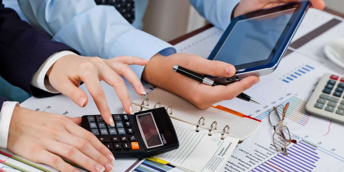 Why Should Your Business Consider Professional Accounting Services?