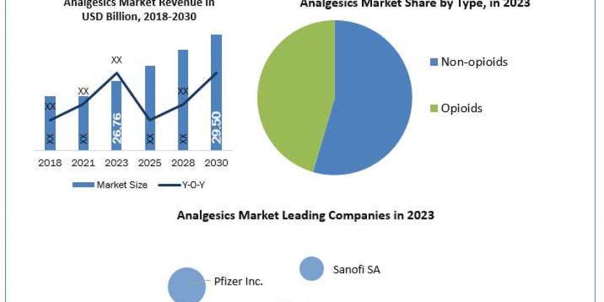 Analgesics Market Competition Strategies, Revenue Analysis And Key Players 2030