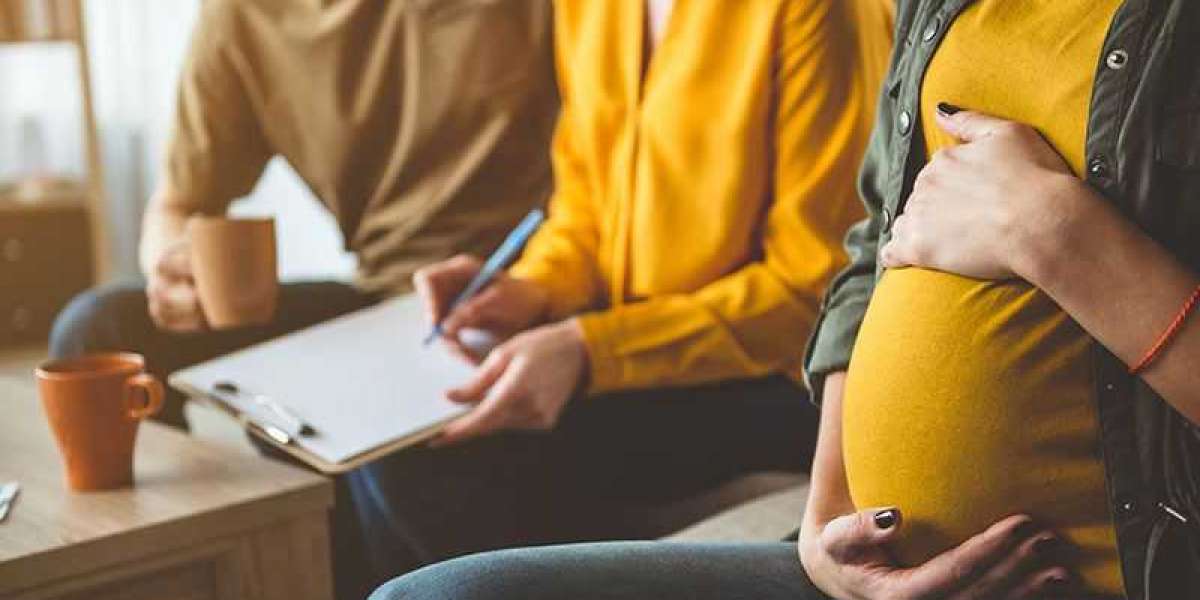 Surrogacy Market Share, Growth, Global Forecast Report 2024-2032