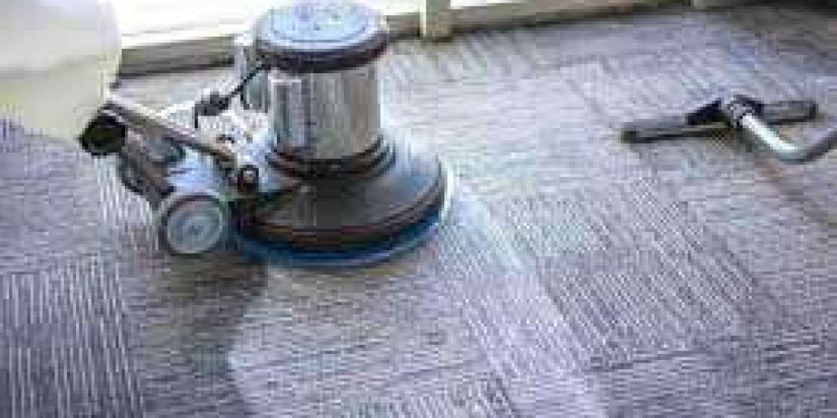 The Cost of Carpet Cleaning in Oakville: What to Expect in 2024