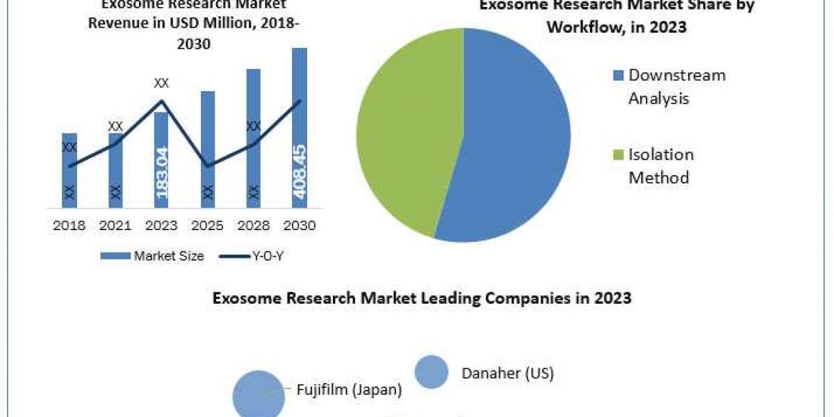 Exosome Research Market Size, Sales, Growth Rate , Competition Landscape And Forecast 2030