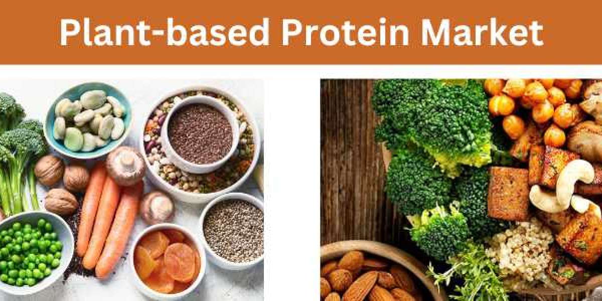 Plant-based Protein Market Development and Growth Opportunities by Forecast 2033