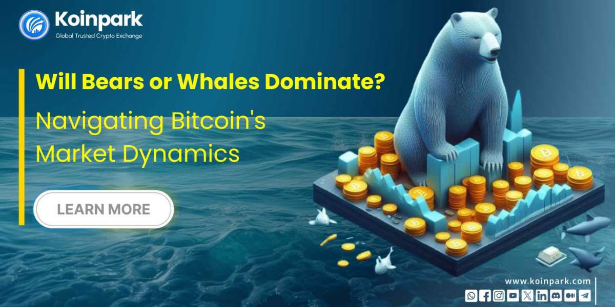 Will Bears or Whales Dominate? Navigating Bitcoin's Market Dynamics