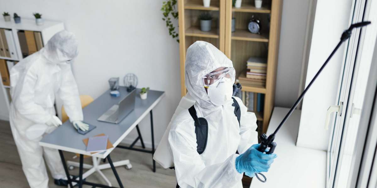 Creating a Pest-Free Zone in Your Houston Home