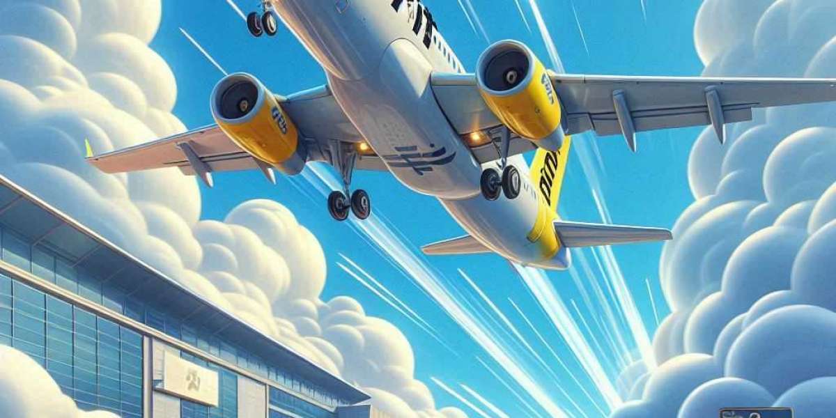 What to Do When You Miss Your Spirit Airlines Flight