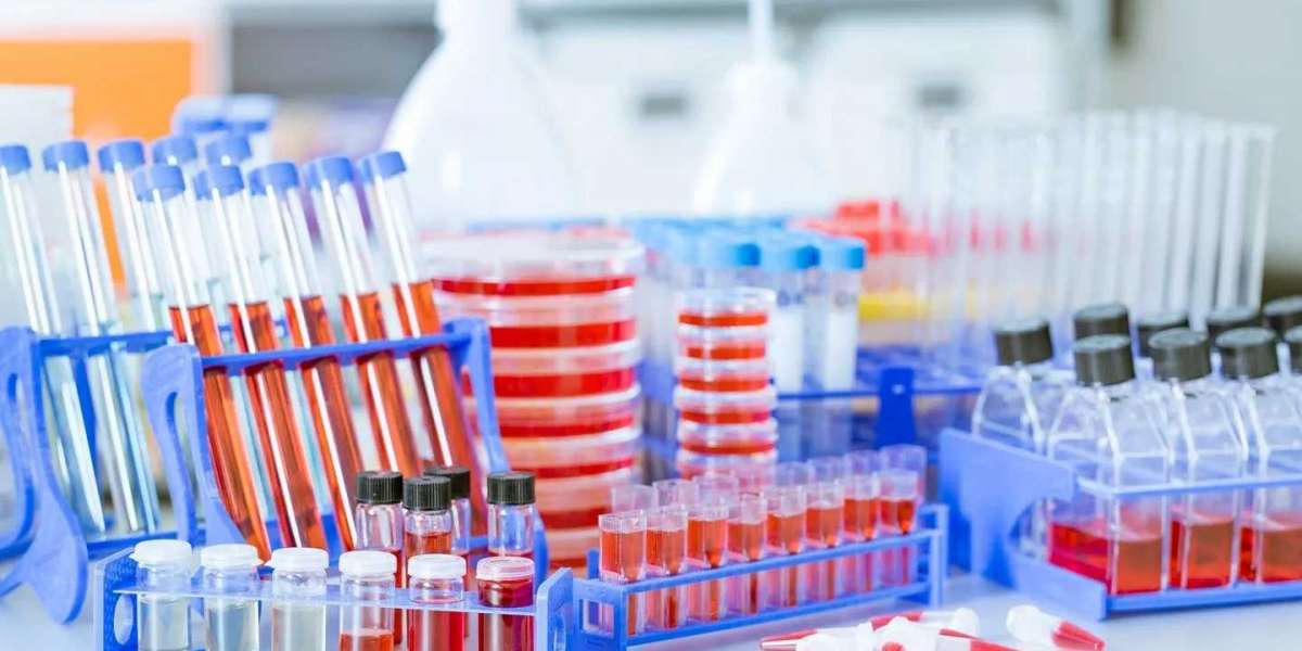 Laboratory Equipment and Disposables Market Size, Share and Industry Analysis, Report 2024-2032