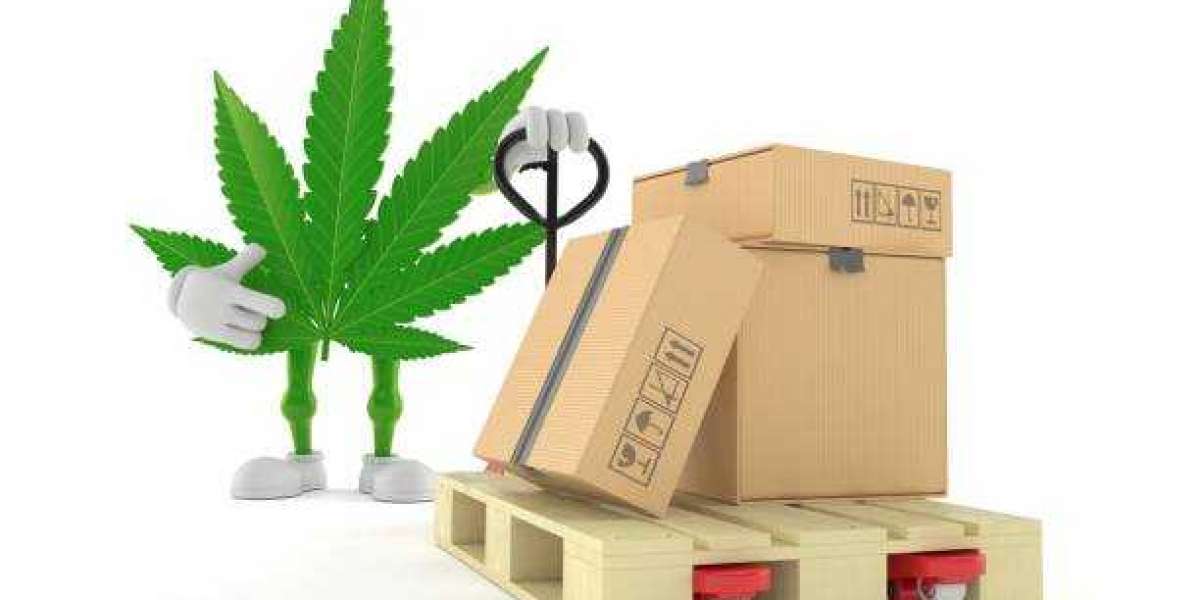 Kush Klinic: Your Premier Choice for Medical Marijuana Delivery