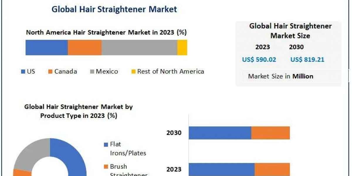 Comprehensive Market Study on Hair Straighteners: 2024 to 2030