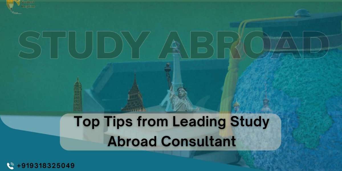 Top Tips from Leading Study Abroad Consultants