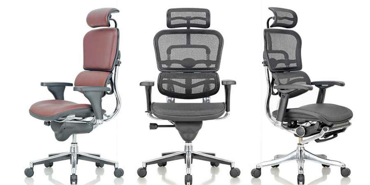 Explore the Best Office Chairs for Your Workspace