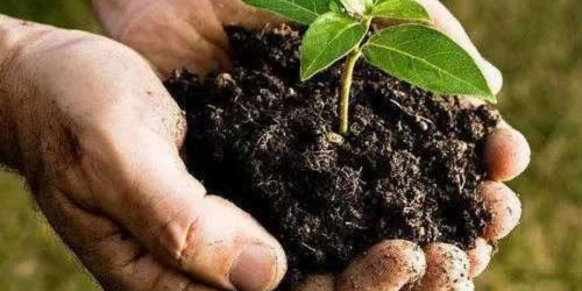 Detailed Report on Organic Fertilizer Manufacturing Plant Setup Cost, Layout and Raw Material Requirements