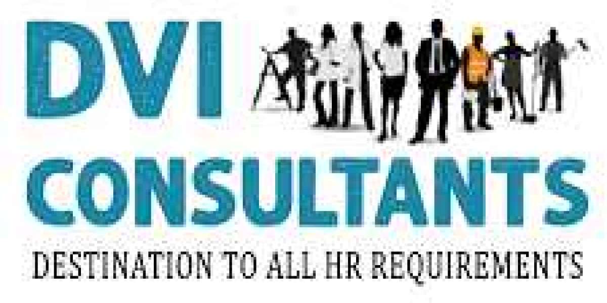 DVI Consultants destination to all HR Requirements