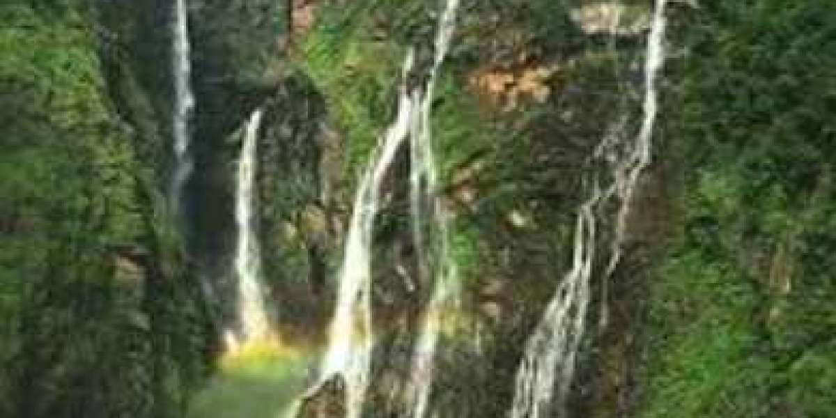 Discover the Majestic Beauty of Jog Falls: A Comprehensive Guide