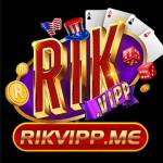 Rikvip Casino Profile Picture