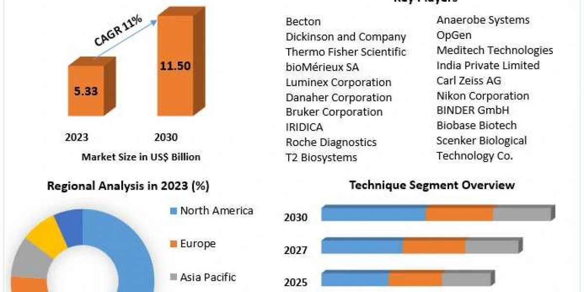 Blood Culture Tests Market Growth Opportunities and Forecast Analysis Report By 2030