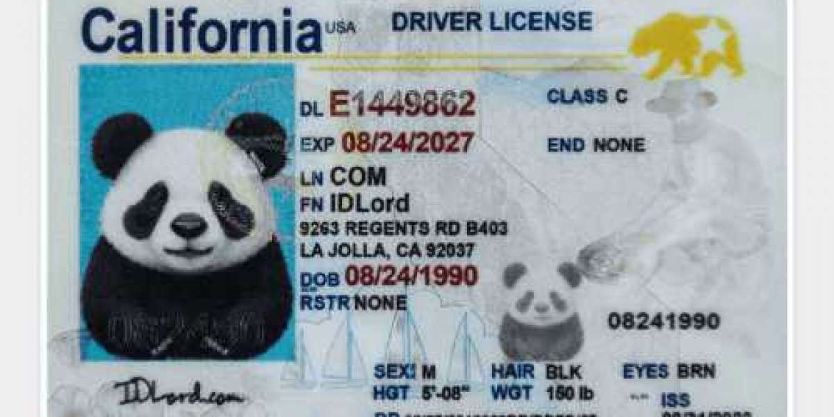 Experience the Best in Novelty Top Reasons to Choose Our California Fake IDs