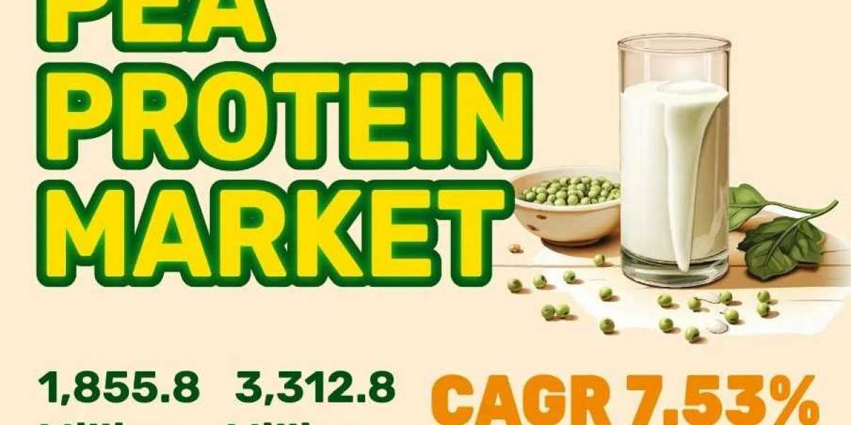 Pea Protein Market anticipated to exhibit remarkable of USD 1,855.8 Million by 2031: KR Report