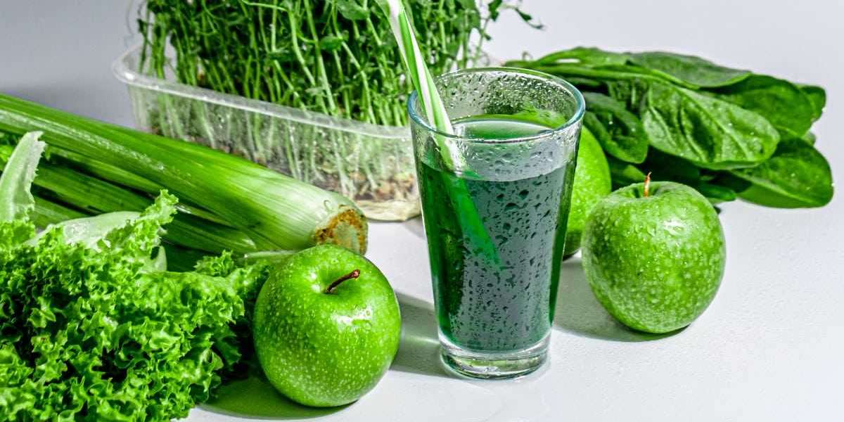 Chlorophyll Extract Market Trends: Growing Popularity of Plant-Based Products Drives Demand