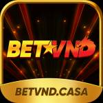 betvndcasa Profile Picture