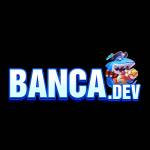 Banca dev profile picture