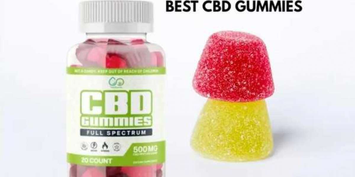 Bloom CBD Gummies: Where To Buy!